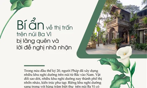 Bí ẩn về thị trấn trên núi Ba Vì bị lãng quên và lời đề nghị nhã nhặn - Bài 3: Ký ức về những biệt thự trong rừng